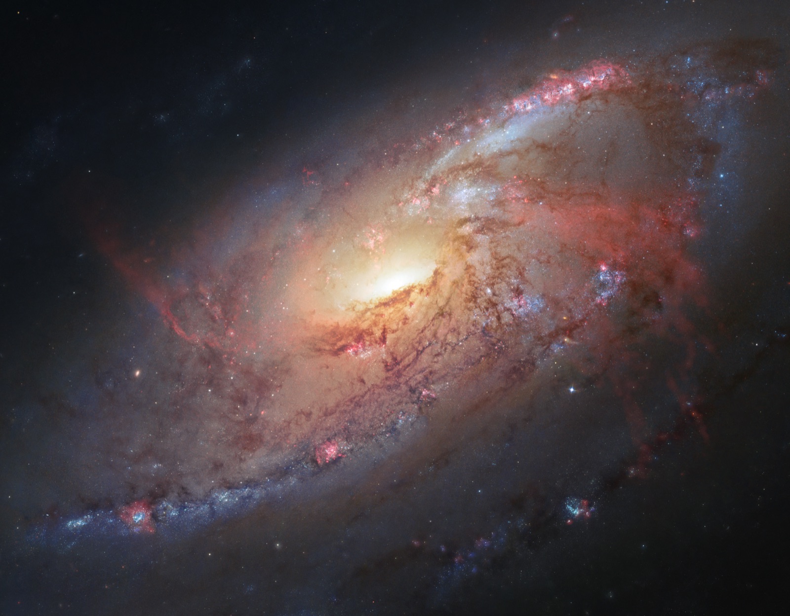 Messier 106, a spiral galaxy